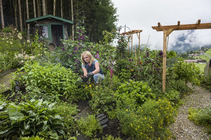Visit to the herb garden