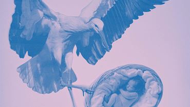 Geschichten vom Storch