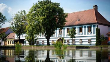 Wine tasting with Nikolaihof winery